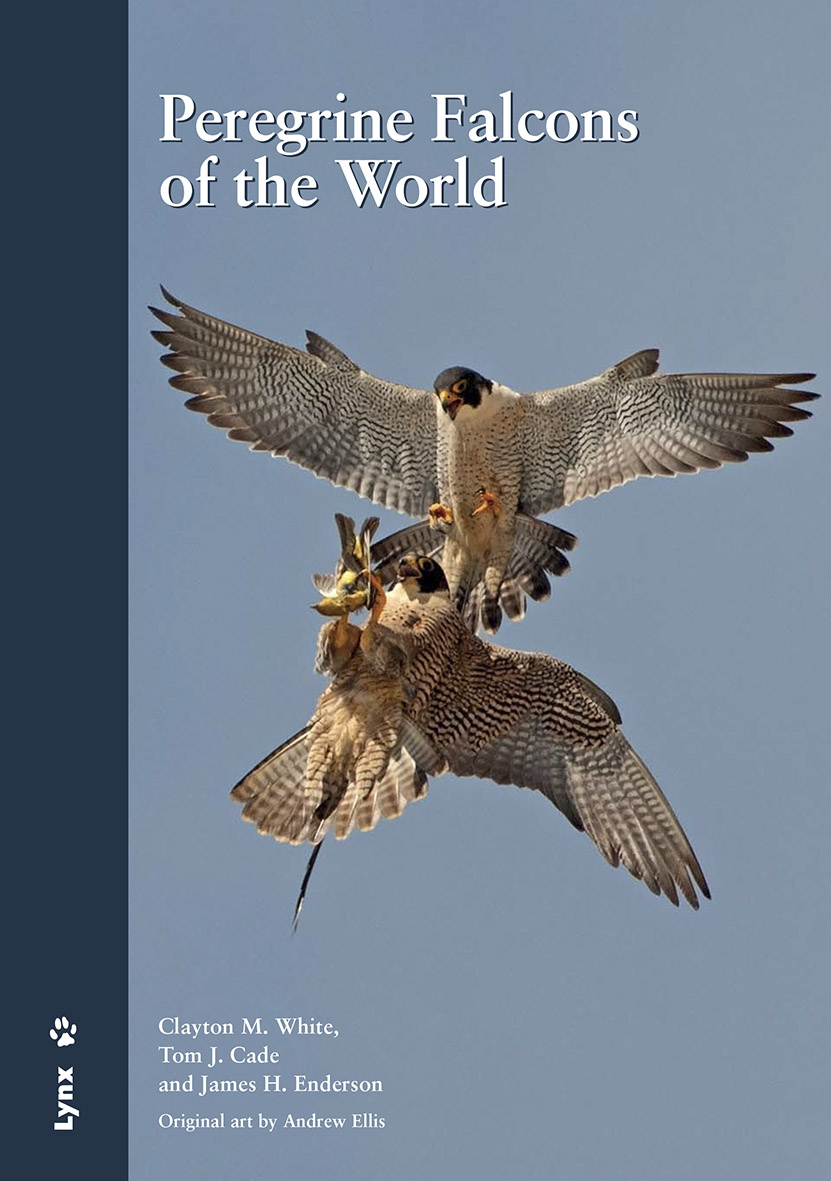 Peregrine Falcons of the World book cover image